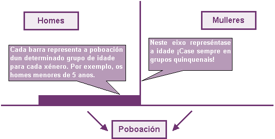 Esquema pirámide de poboación